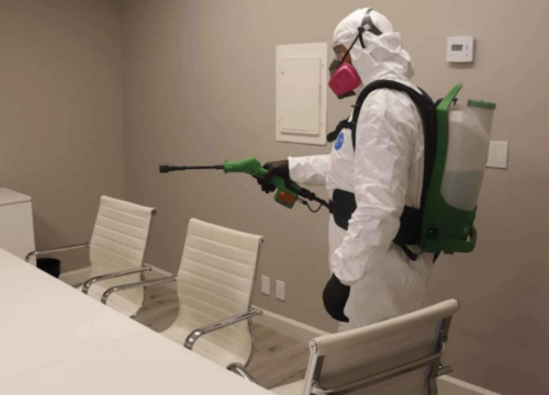 Termite Treatment