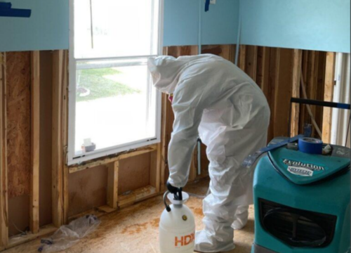 Your Complete Guide to Pest Control in Turks & Caicos